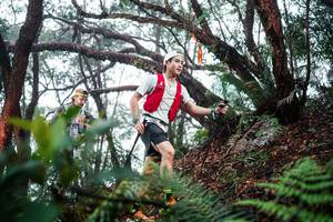 BIB: 
                            <button type="button" onclick="openModal(26295936)" class="btn btn-primary btn-sm float-right btn-popup" data-toggle="modal" data-target=".modal-high-quality">
                        <i class="fas fa-shopping-cart"></i> Add to Cart
                    </button>
                                            <button type="button" onclick="isThisMe(26295936, true)" class="btn btn-success btn-sm float-right btn-popup btn-isme hidden" data-toggle="tooltip" data-placement="bottom" title="นี่คือรูปของคุณใช่ไหม คลิกที่นี่เพื่อเอาเข้าอัลบั้ม">
                        <i class="fas fa-plus"></i> Add to album
                    </button>
                    <button type="button" onclick="isThisMe(26295936, false)" class="btn btn-warning btn-sm float-right btn-popup btn-isnotme hidden">
                        <i class="fas fa-ban"></i> Remove from album
                    </button>